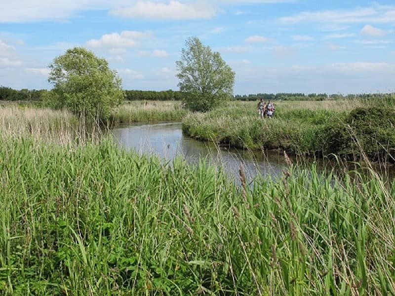 SENTIER_ENS