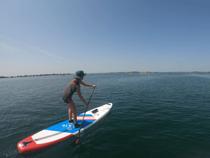 Visuel pour OTI - Tourninsoft - SUP 2