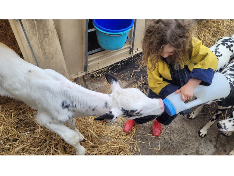Ferme pédagogique de Feings