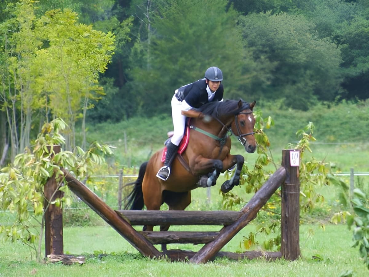 Saut obstacle cross ormerie Calvados