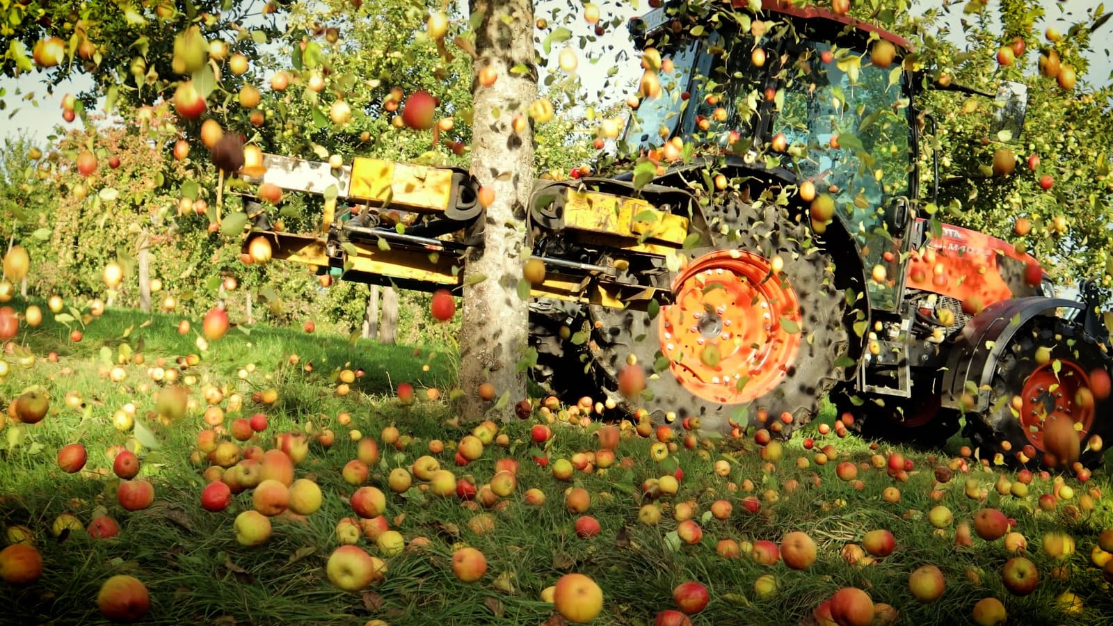 Récolte