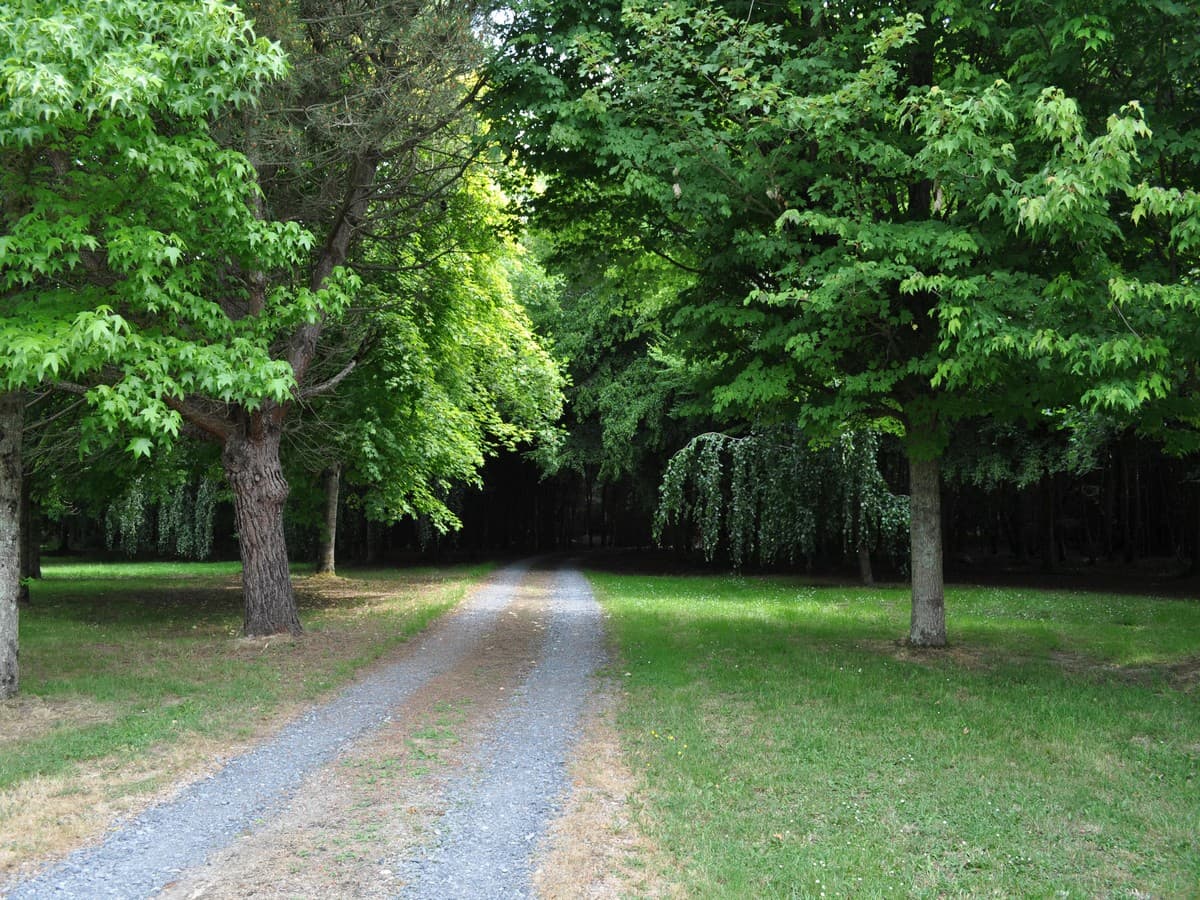 TSDSC_0654