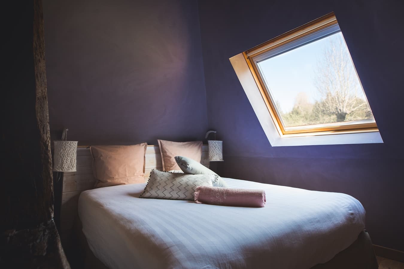 Tresor-Domaine-le-coq-enchante-14