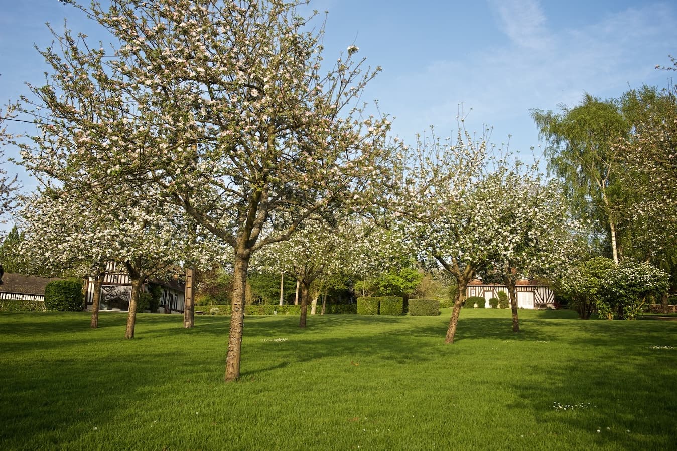 Tresor-Domaine-le-coq-enchante-30