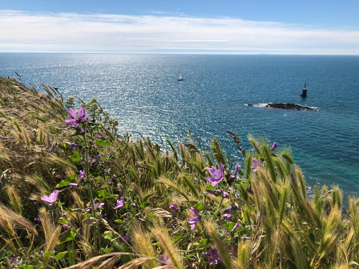 Vue mer