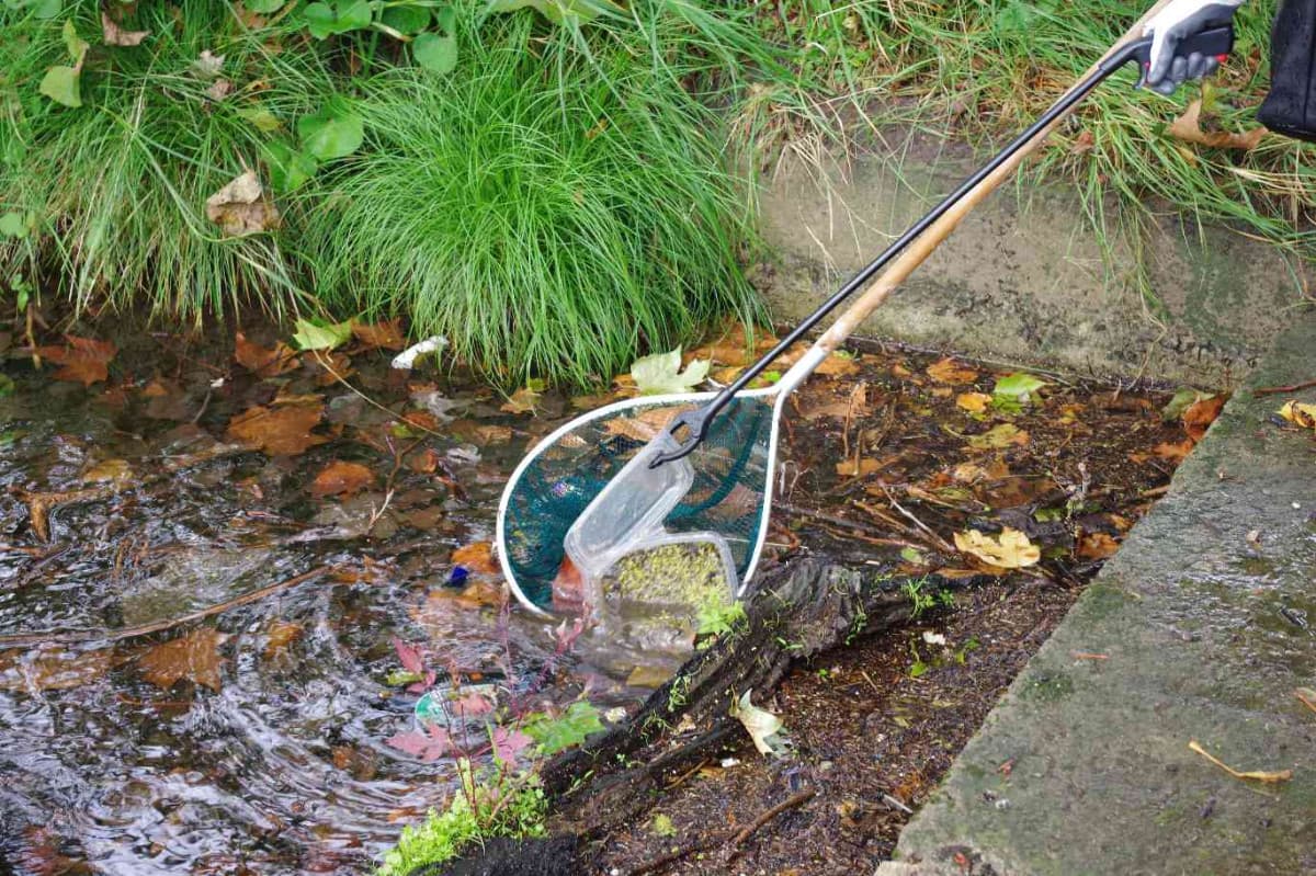 à la pêche aux plastiques