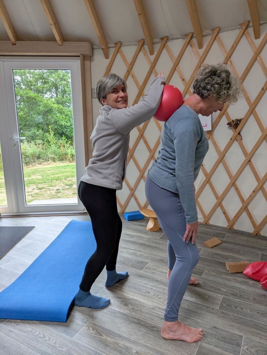 abelia yoga(1)