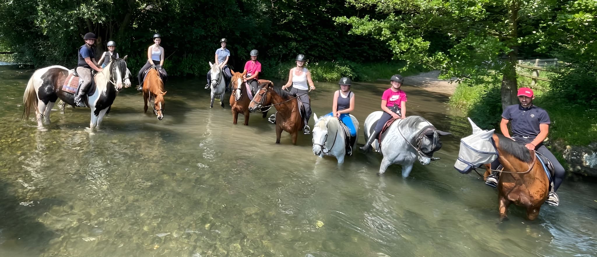 Balade Ecurie Optimum Horses