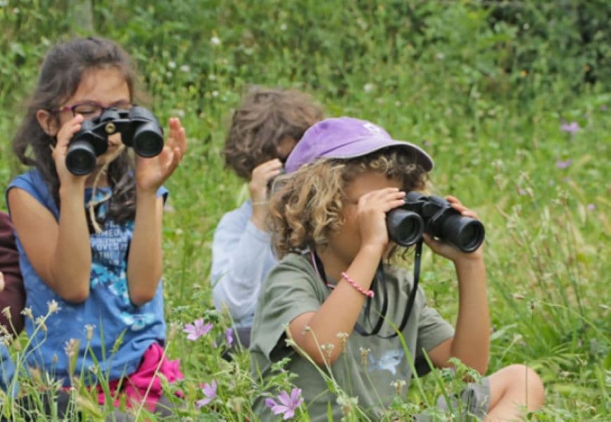atelier nature