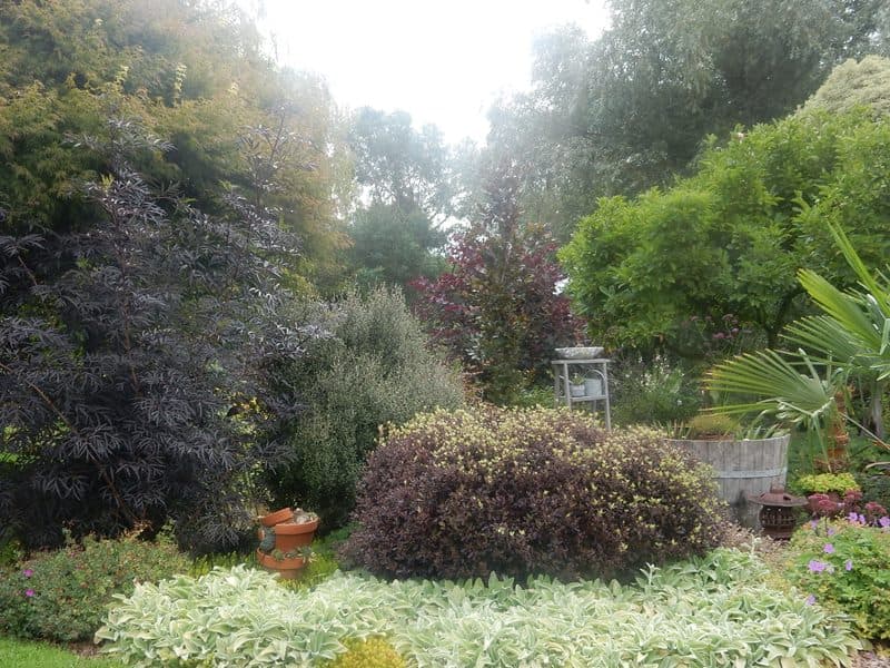 auxais-jardin-la-bosquerie-2