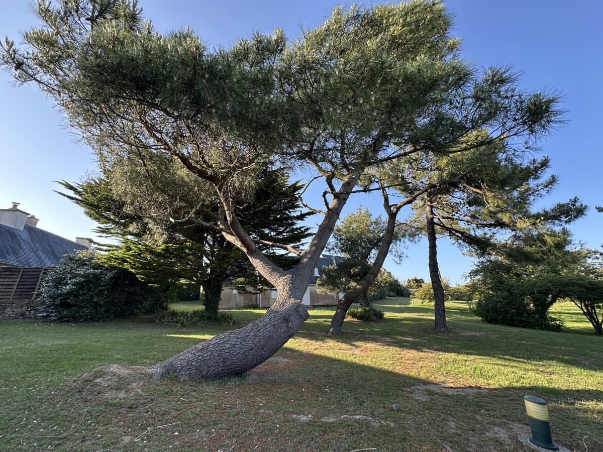 barneville-carteret-meuble-hors-saison-8