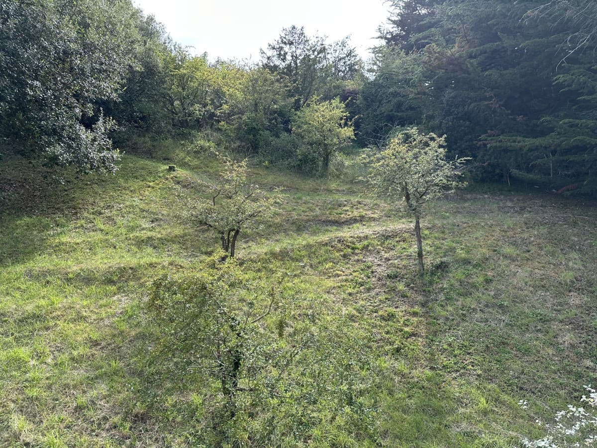 barneville-carteret-meuble-milorene-7