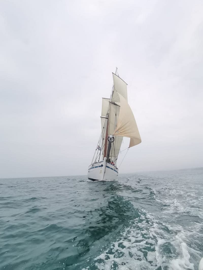 bisquine-voiles