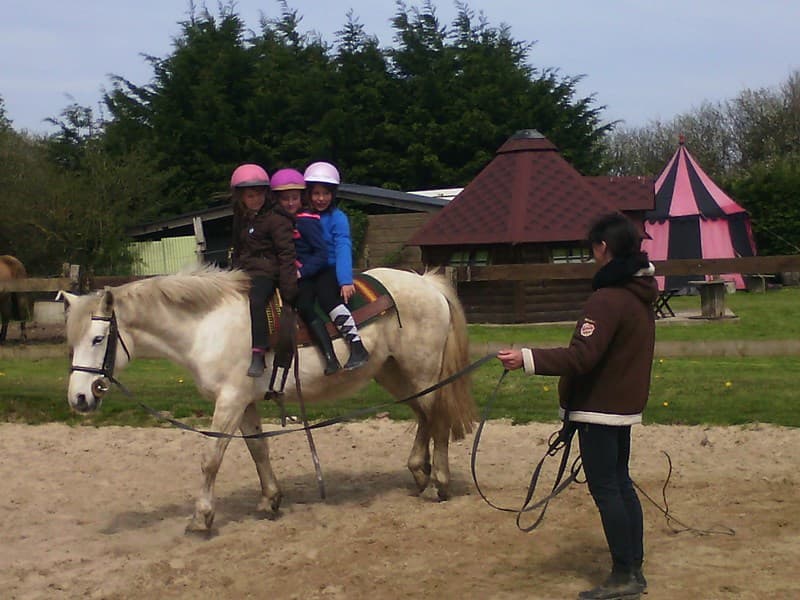 bolleville-ecurie-leseigneur-animations-equestres