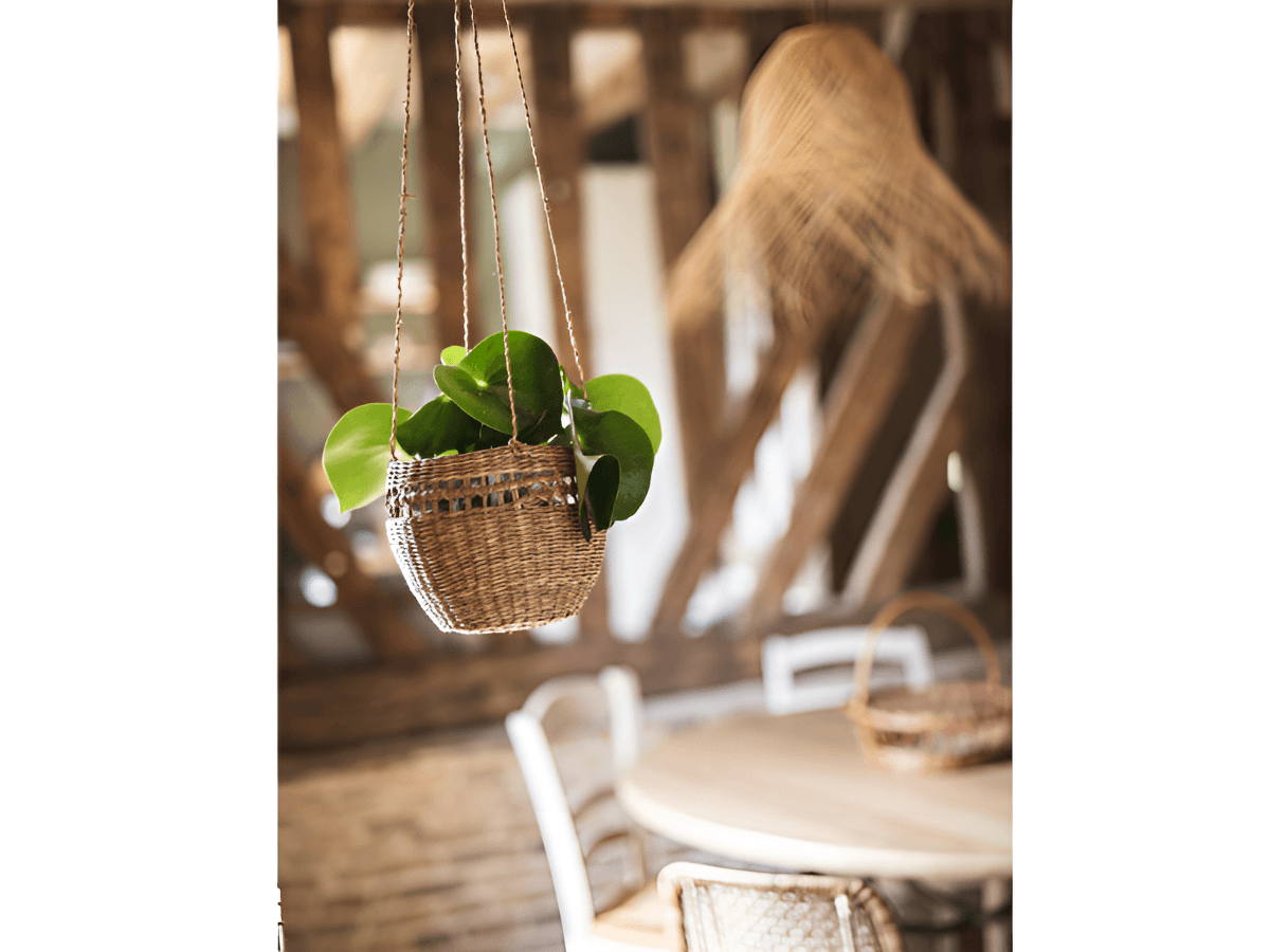 Bouillerie-Domaine-le-coq-enchante-29