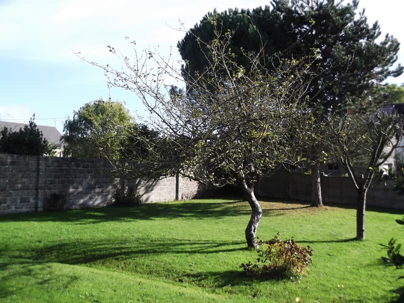 brehal-meuble-sauve-yves-12