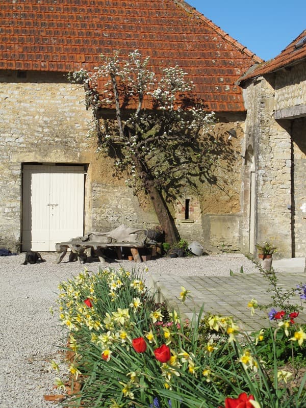 brevands-ch-chateau-le-colombier-19