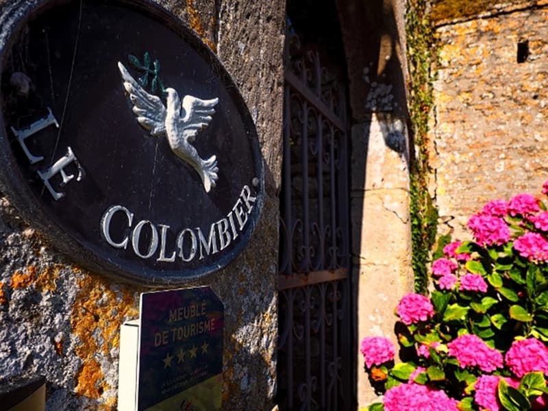 brevands-ch-chateau-le-colombier-5
