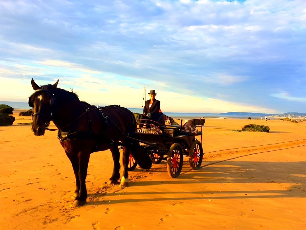 balade en calèche sur la plage, Houlgate