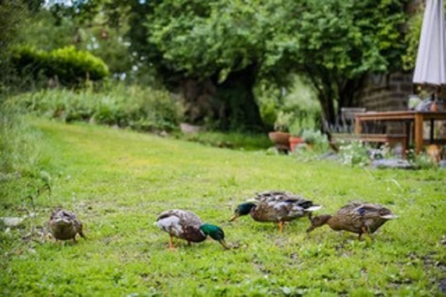 normandy-inn-montbray-20