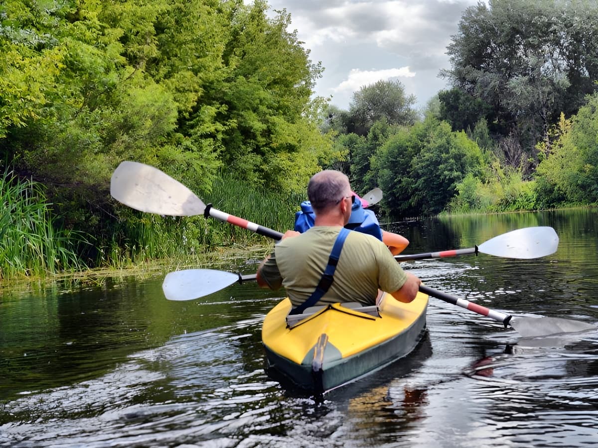 Balade canoë dans les marais