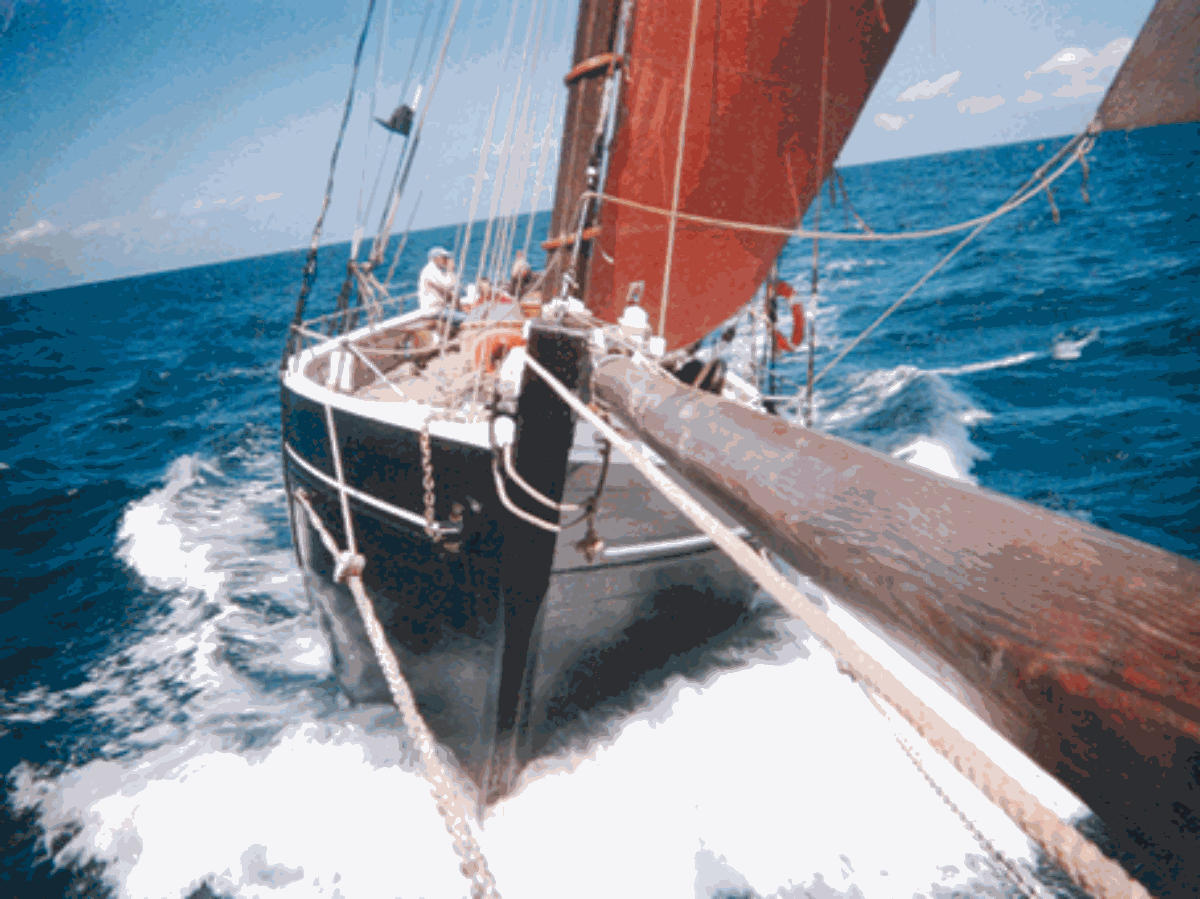 carteret-neire-maove- 1