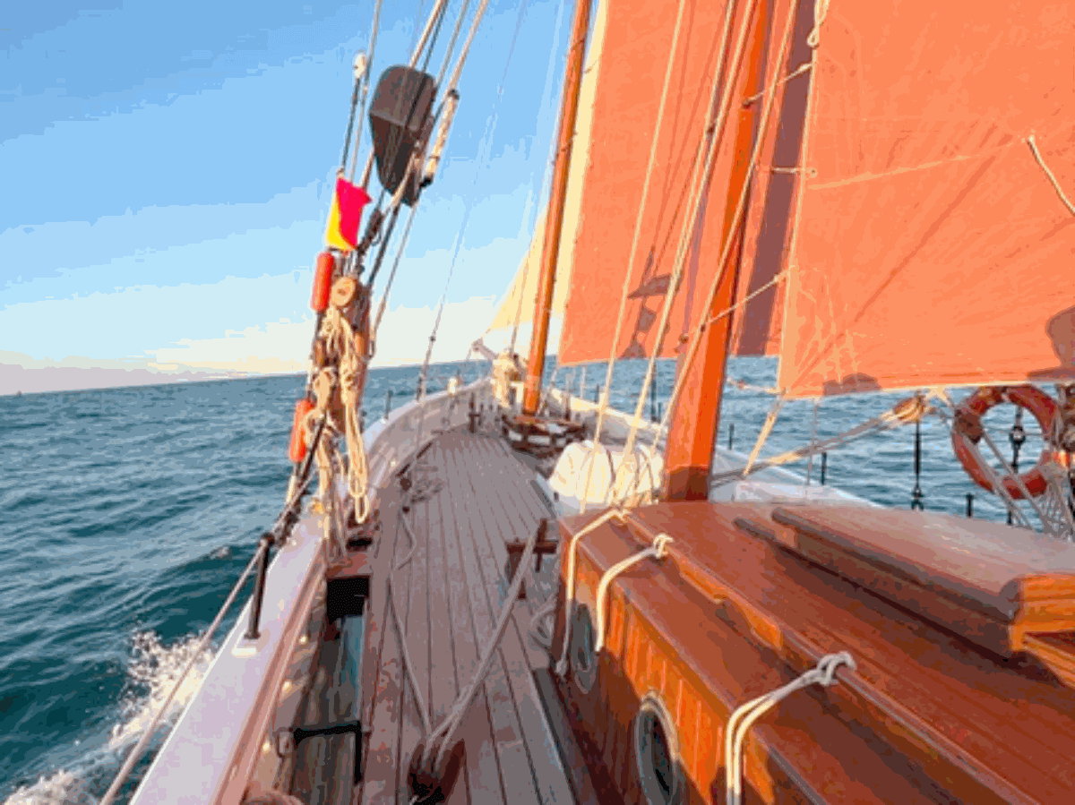 carteret-neire-maove- 3