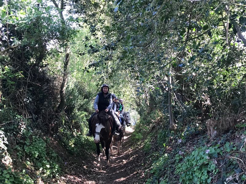 centre-equestre-doville (1)