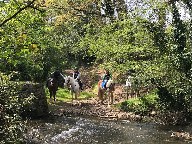 centre-equestre-doville (2)