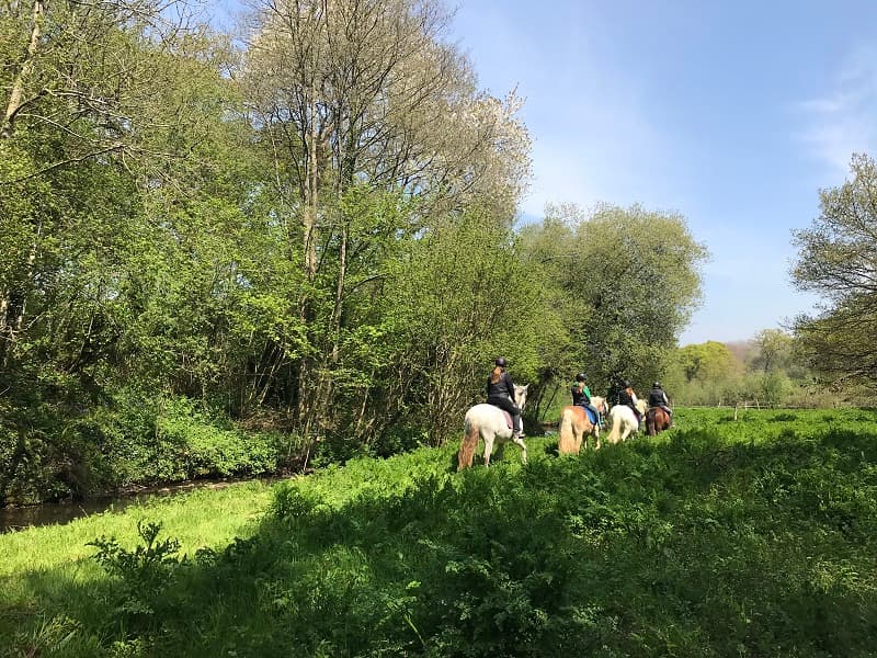 centre-equestre-doville (3)