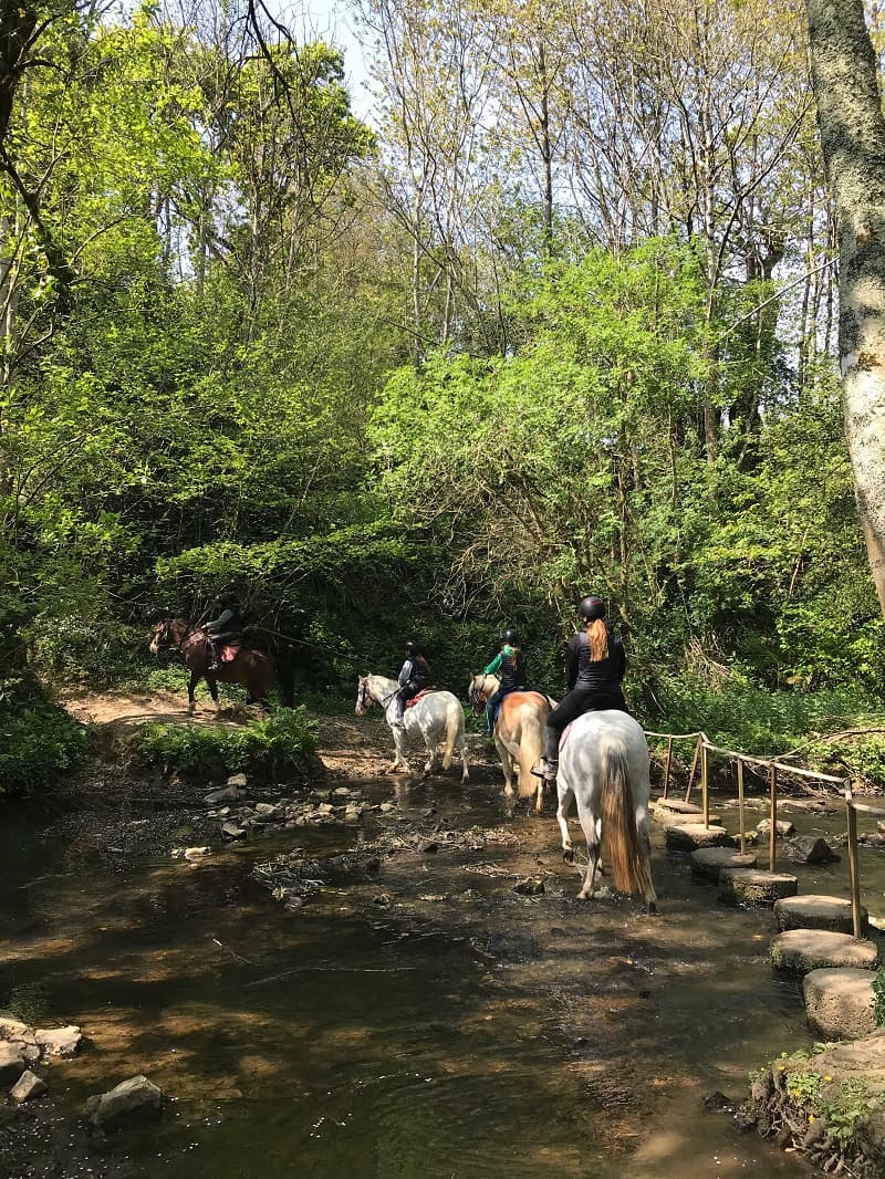 centre-equestre-doville (4)