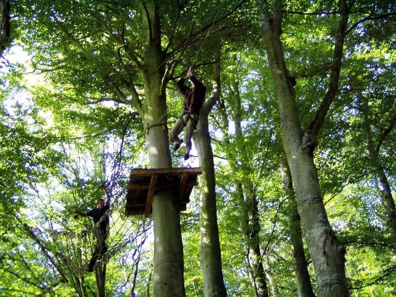 cerences-la-foret-des-elfes®-5