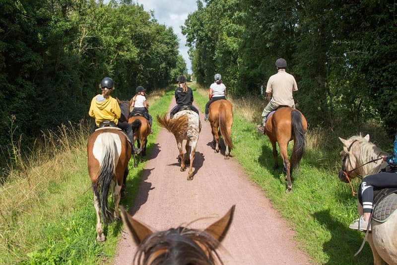 chevaux-cote-ouest-centre-manche-cotentin