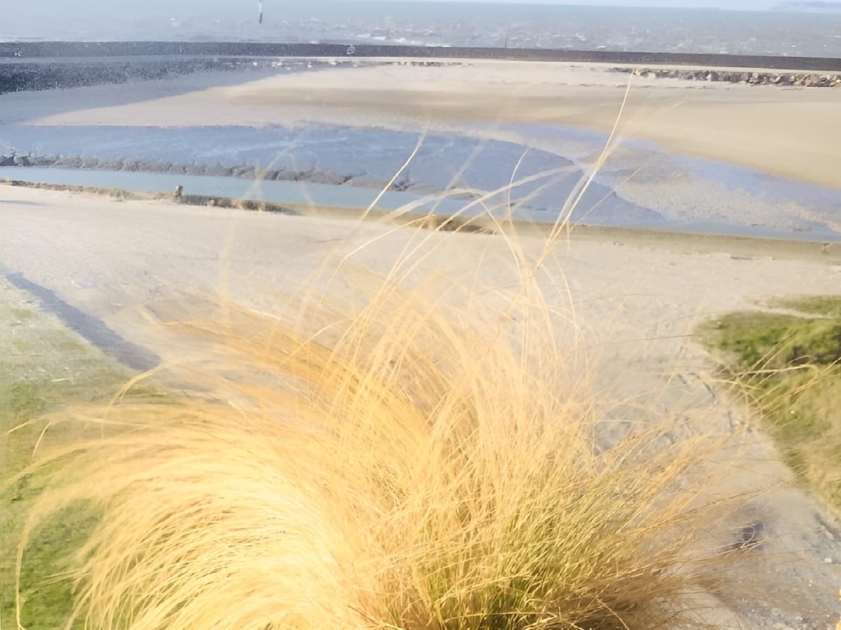 Les Cheveux d ´Anges, typique Normandie