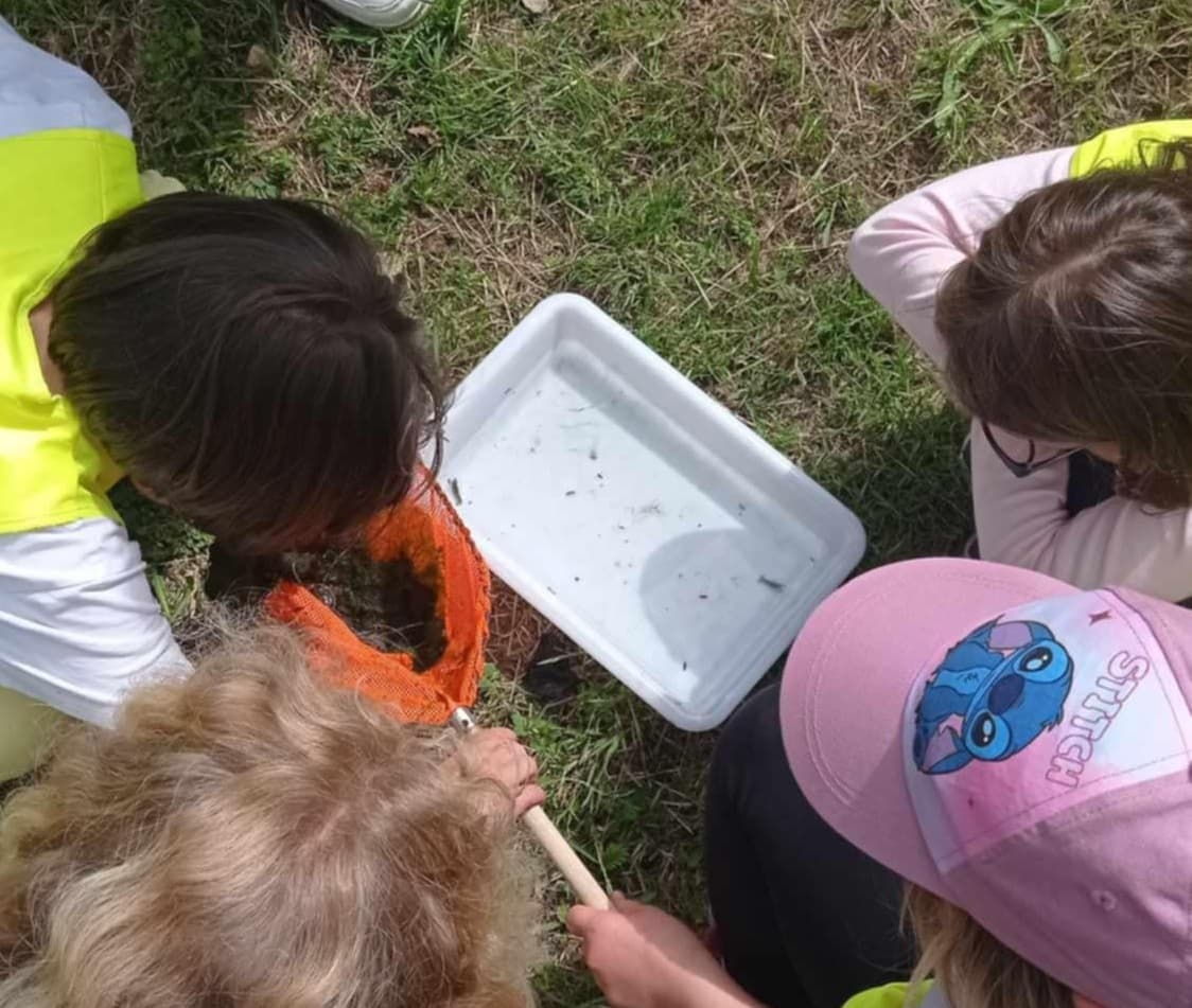 découverte mare-Isigny-Omaha