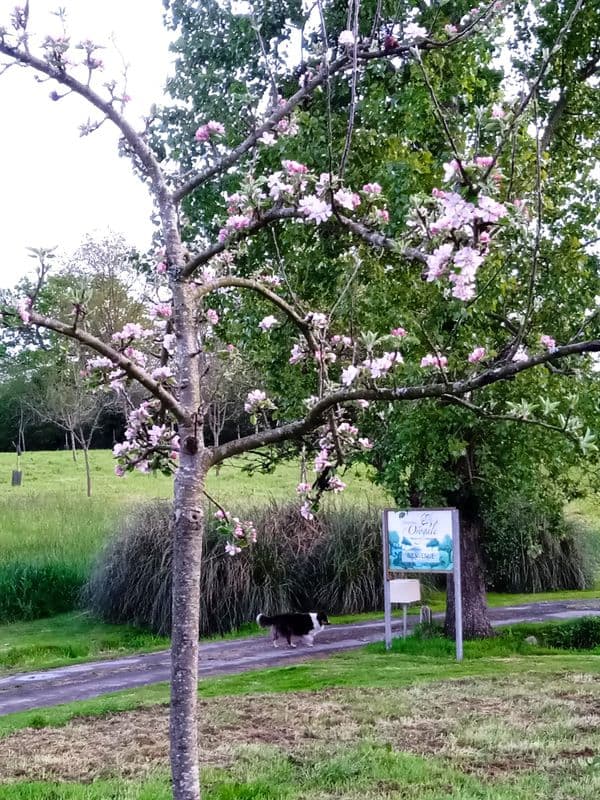 domaine-de-lorogale-3