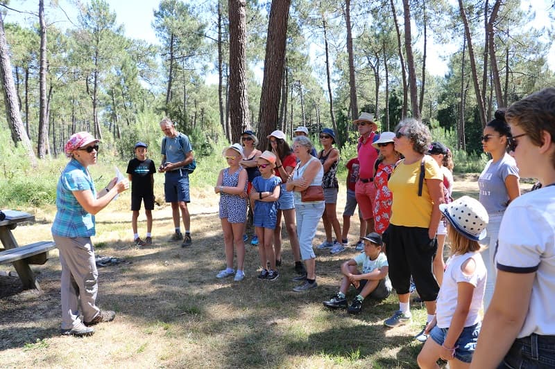 enquete-nature-landes-pirou©margaux_choquet