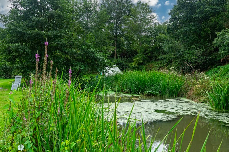 etang