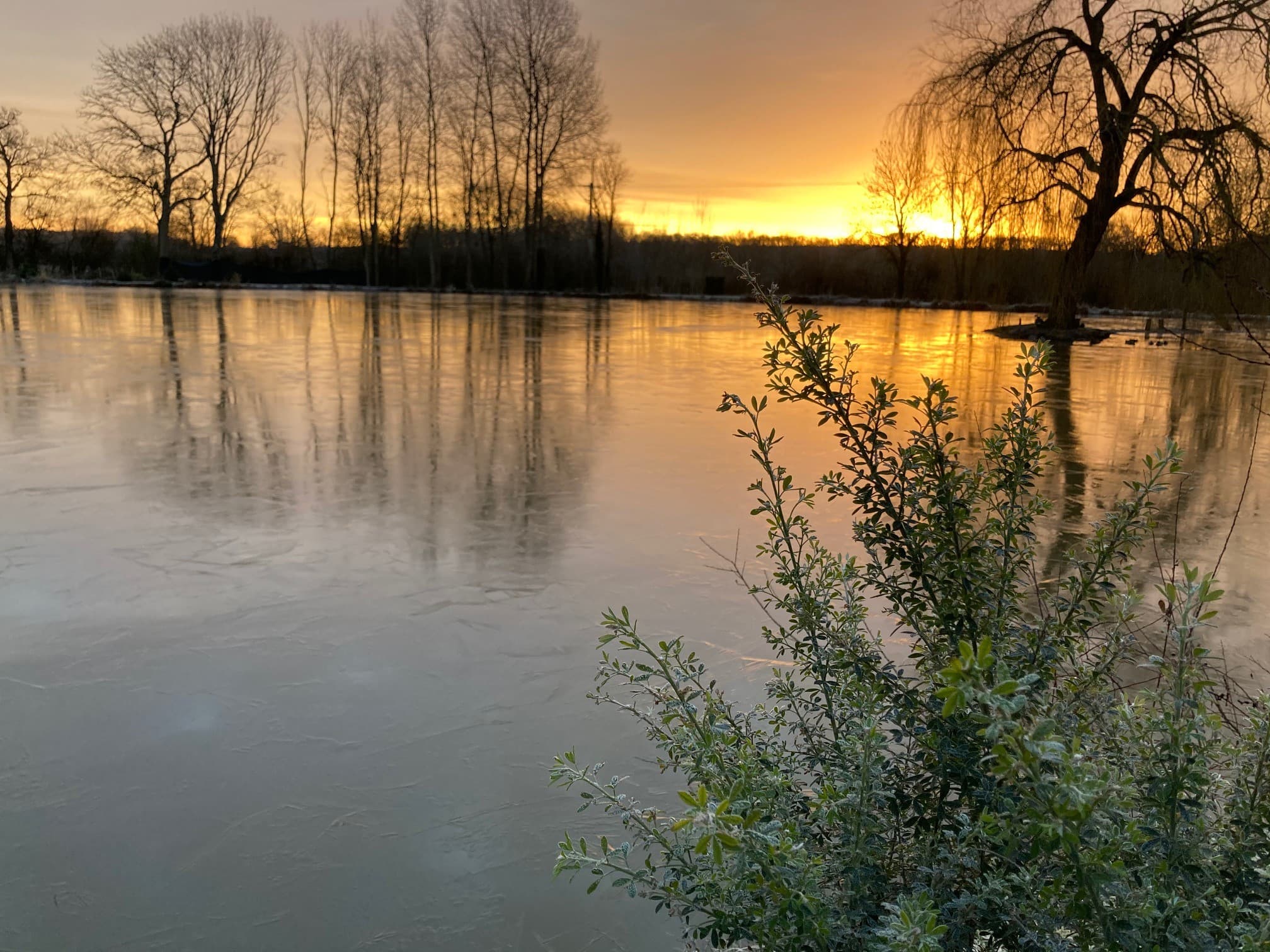 L'Etang d'un instant