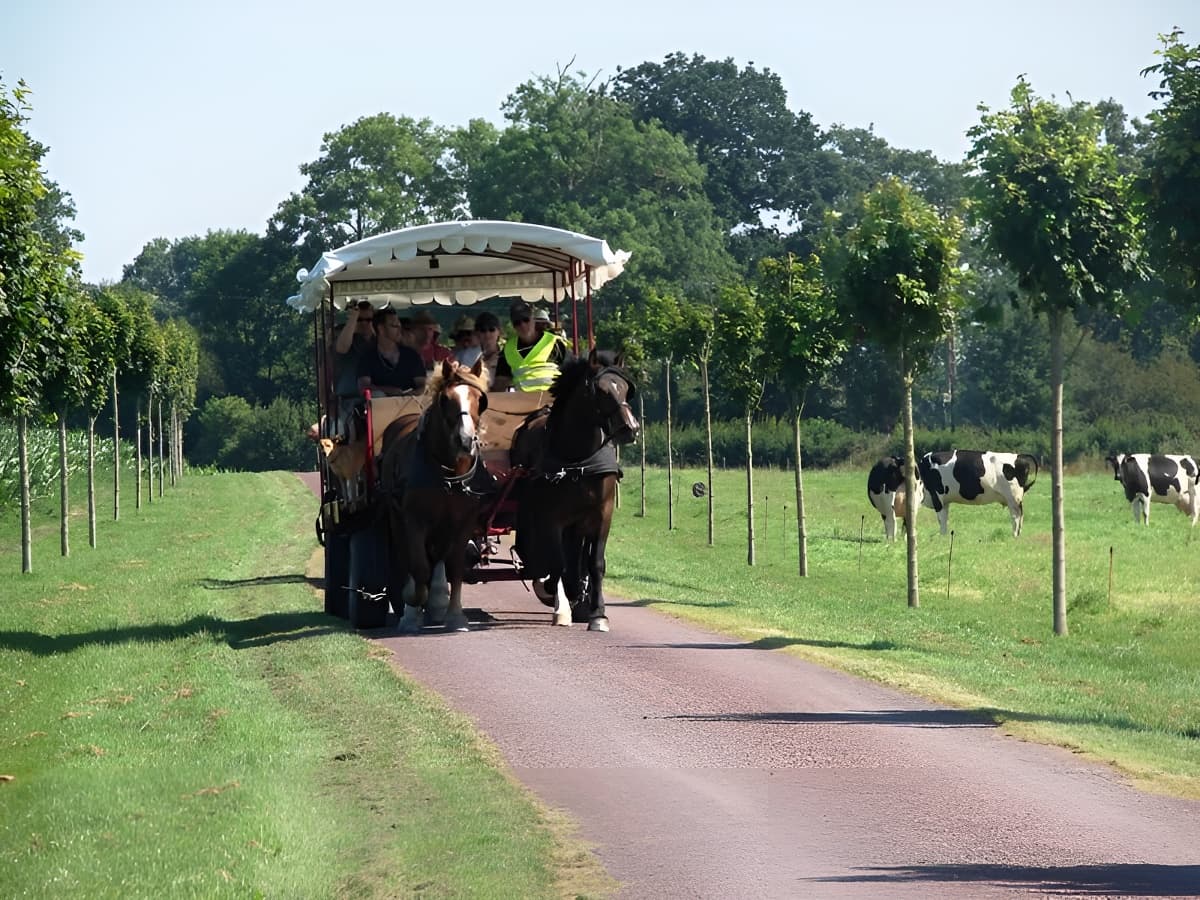 Au rythme des chevaux