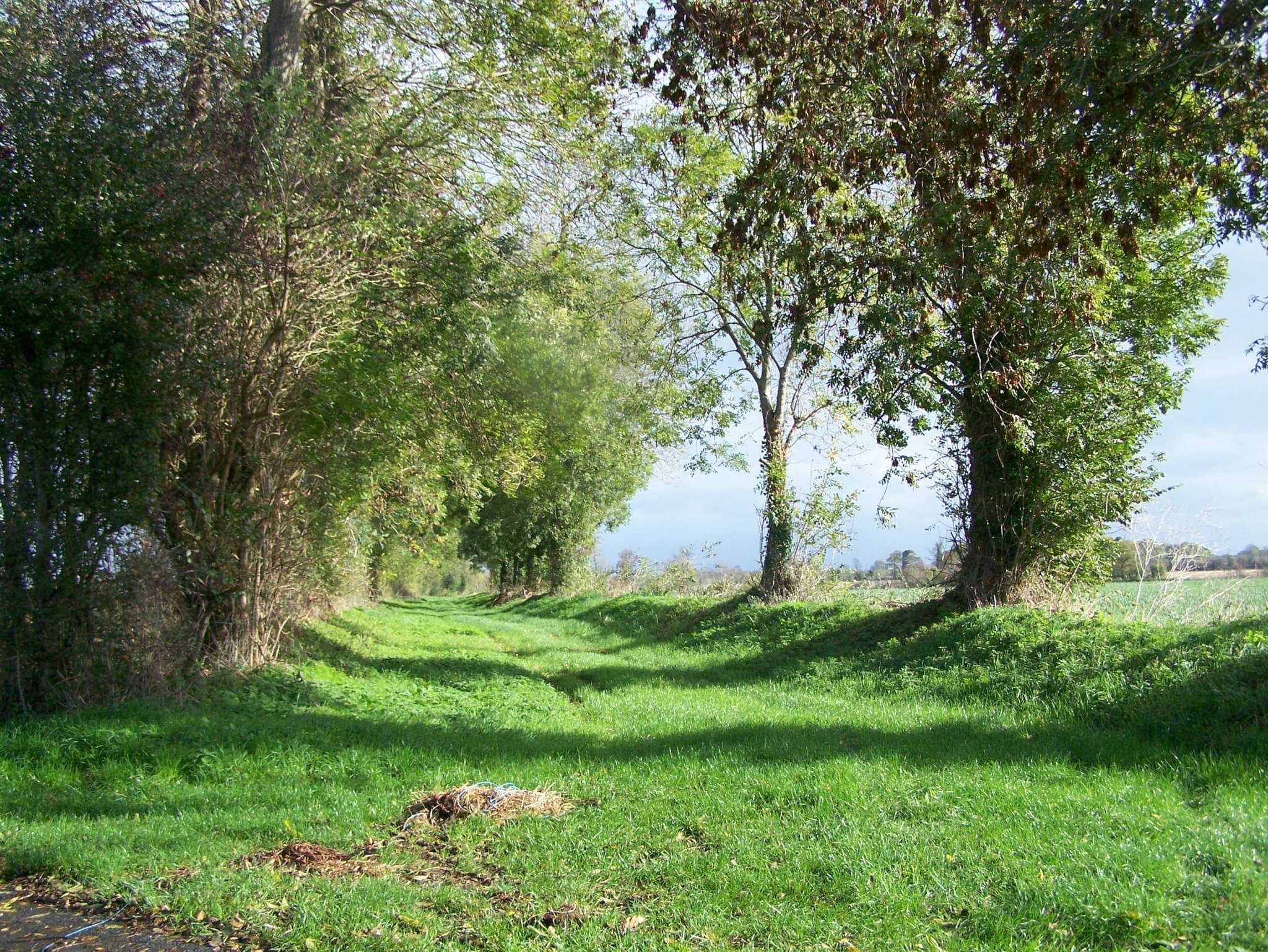 géfosses-trail-rando 026