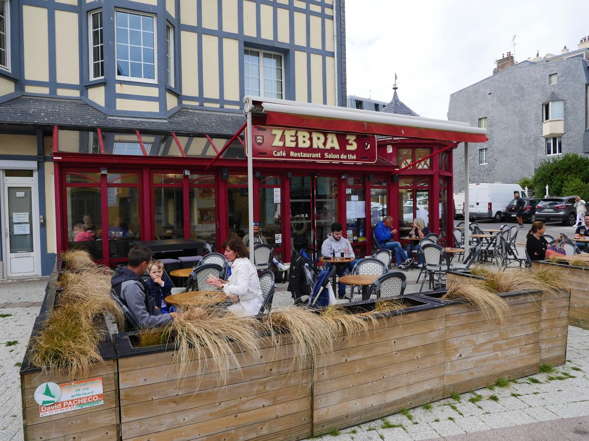granville-zebra-3©Estelle Cohier