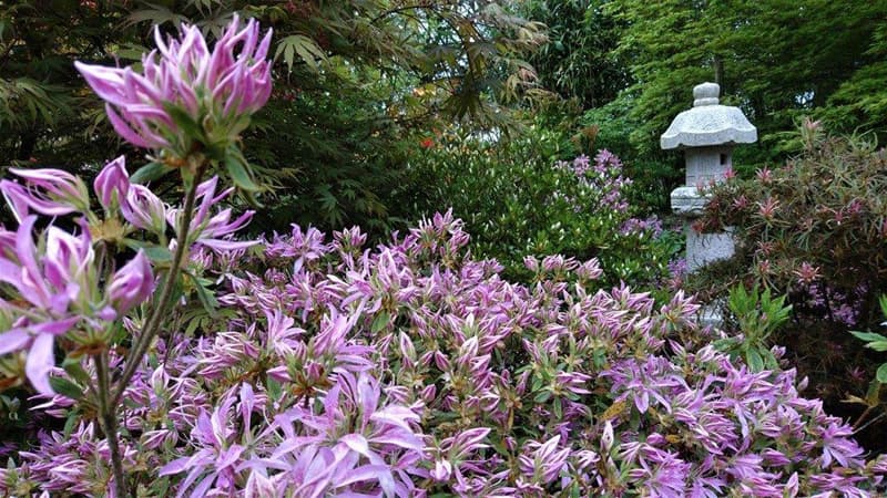 helleville-au-phil-du-jardin-5