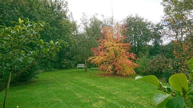 helleville-au-phil-du-jardin-7