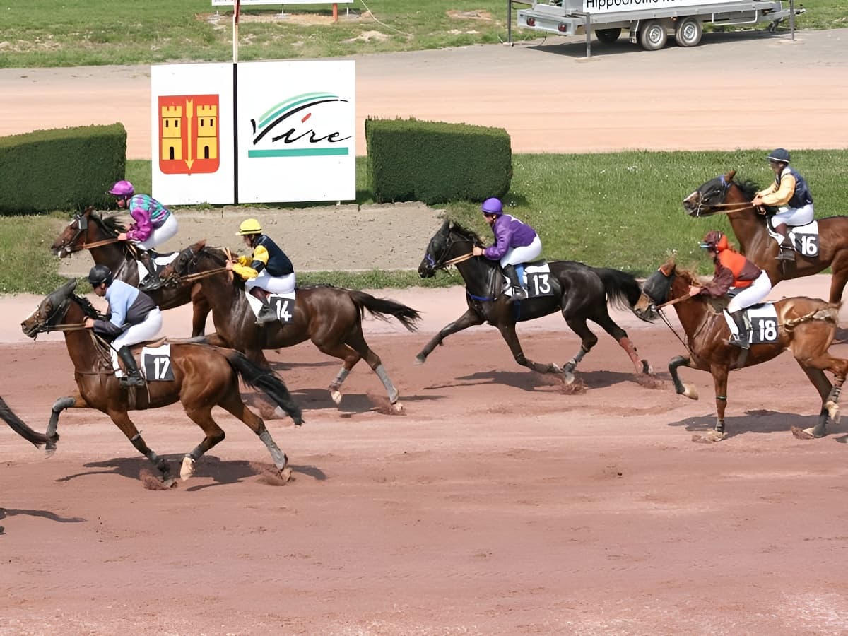 Courses hippiques Vire