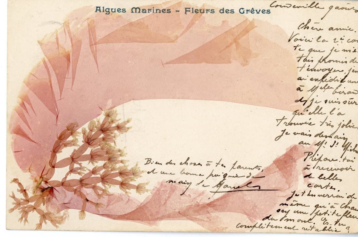 Alguier Maria Doublet