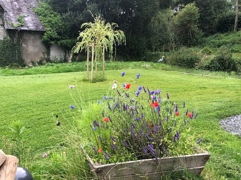 Jardin