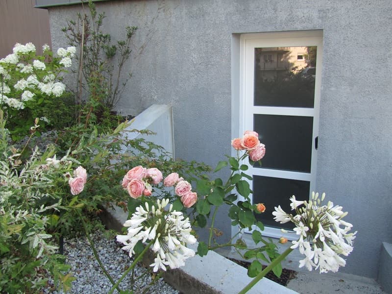 Jardin
