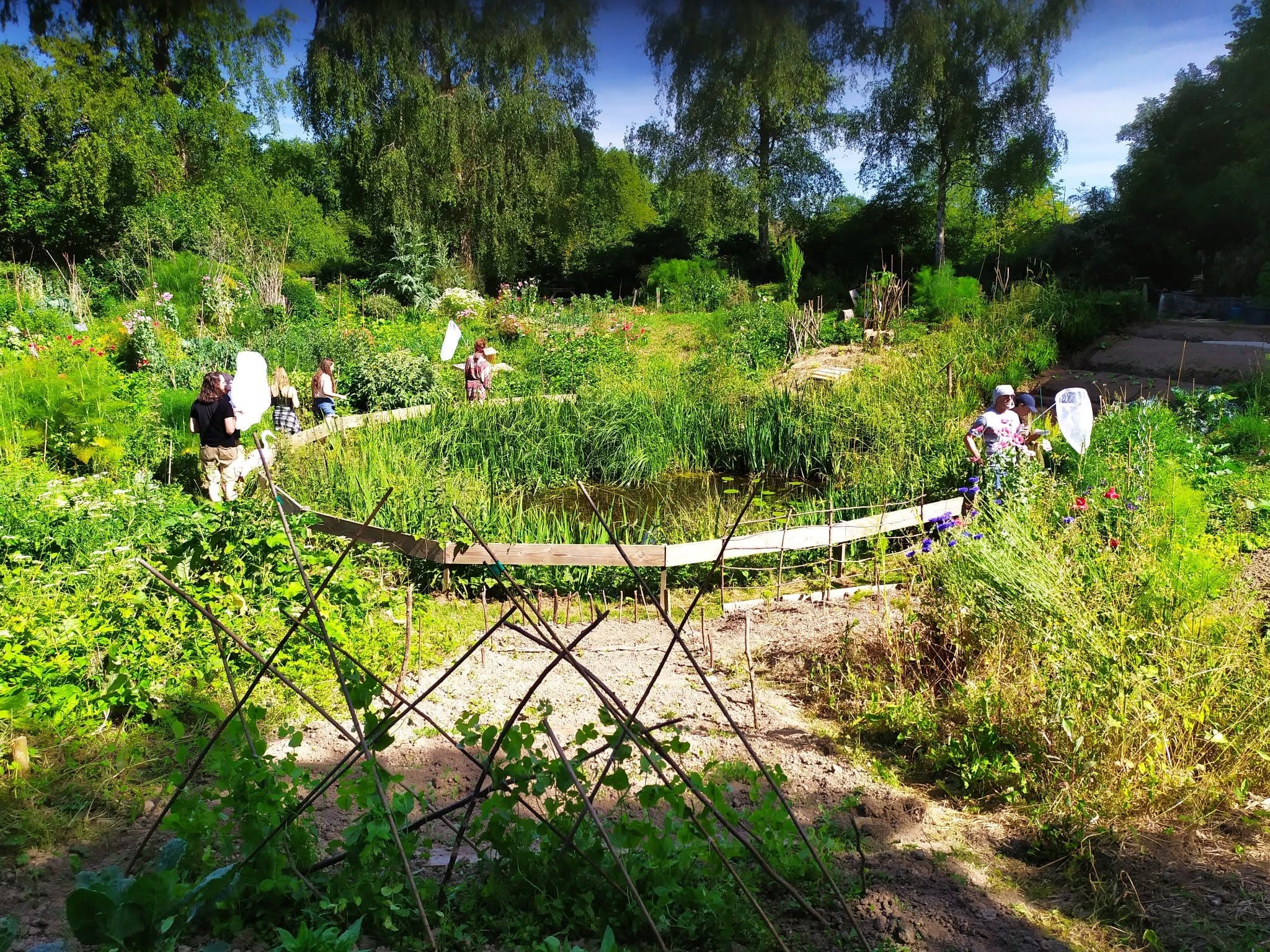 jardin des marettes 5