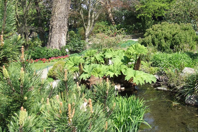 JARDIN PUBLIC